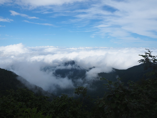 雲海