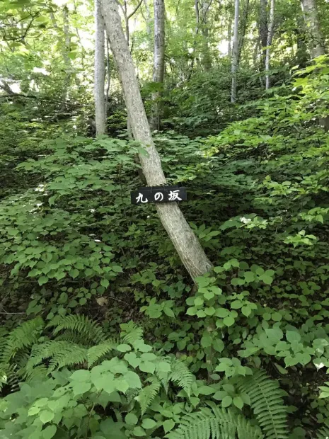 いつの間にか山頂手前