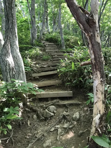 三角山から大倉山はここを下らないとならない（　＾ω＾）・・・