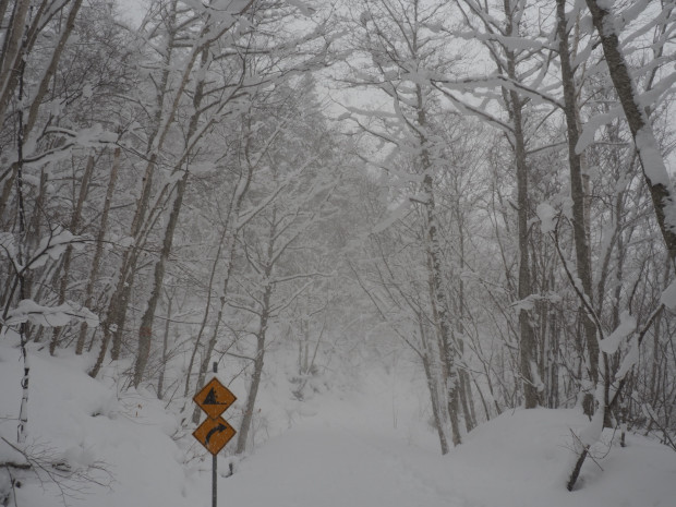 これくらい降ってた
