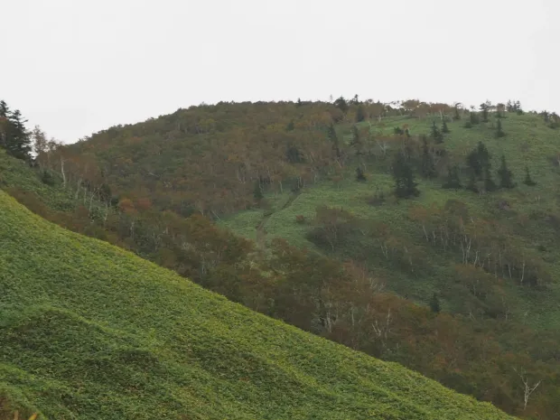 こういう道が好き