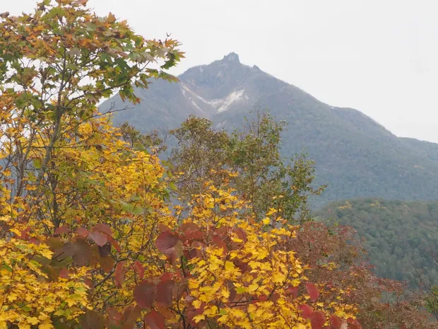紅葉と恵庭岳