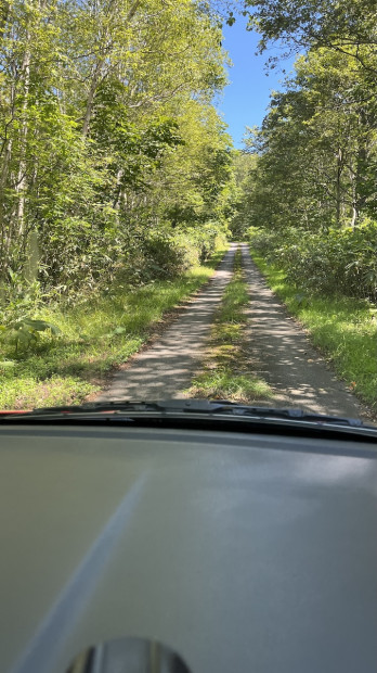 基本はダート道