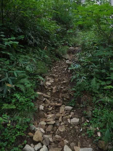登るねえ