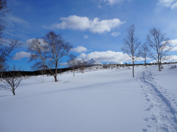 正面のトンガリ山へ向かう