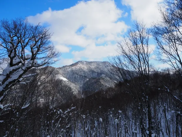 山（名前はわからない）