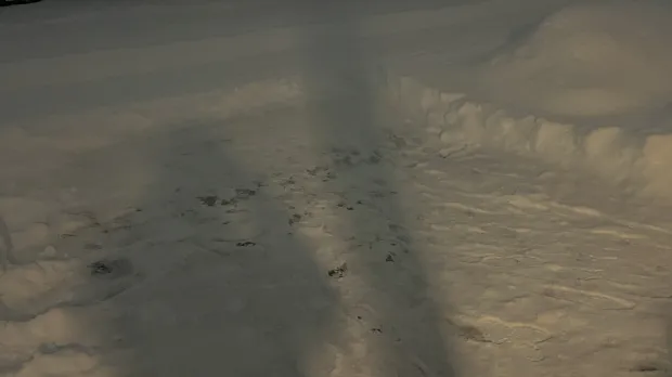 除雪完了したけどさあ