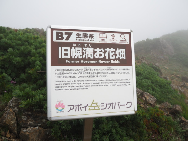 盗掘とかほんと頭おかC