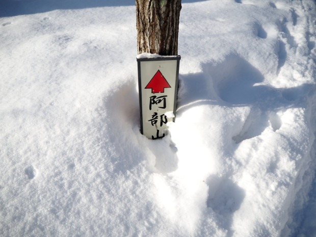 埋まりそうな分岐標識