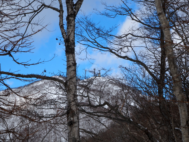 山頂方面