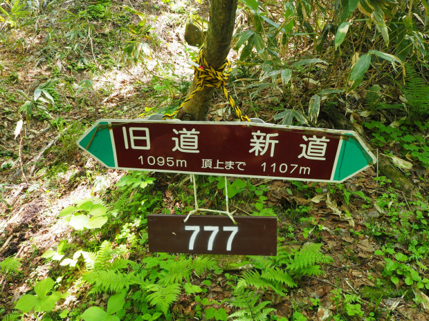 登りは旧道から