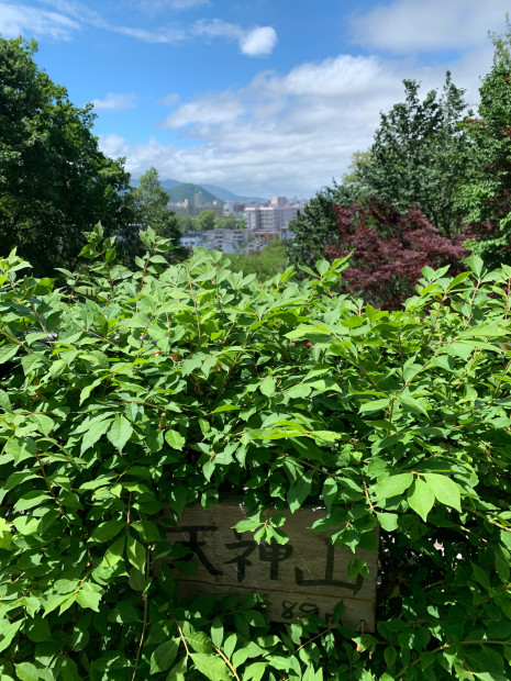 草に埋もれた山頂標識