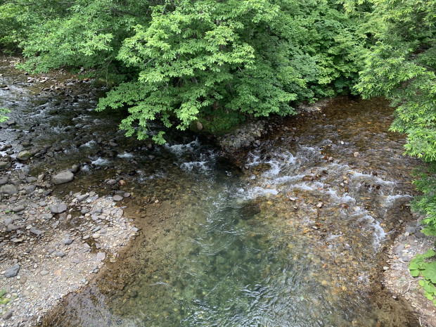 水が綺麗。札幌とは思えない
